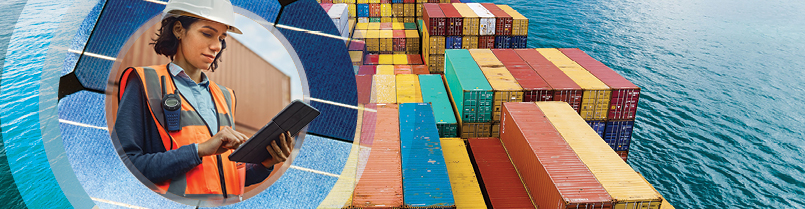 Global supply chains and the green transition